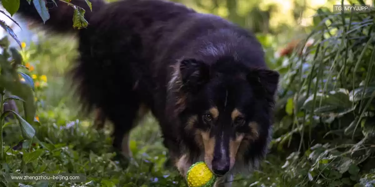 🎁球衣定制，专属荣耀！👕